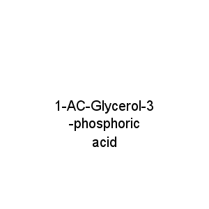 1-AC-Glycerol-3-phosphoric acid